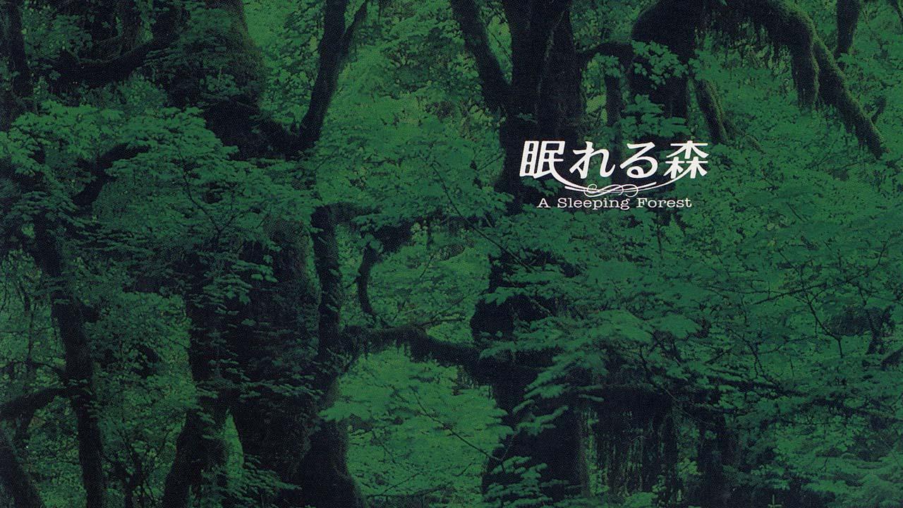 A Sleeping Forest