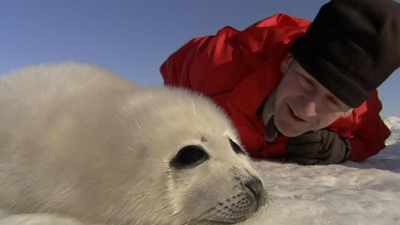 Arctic Exposure With Nigel Marven