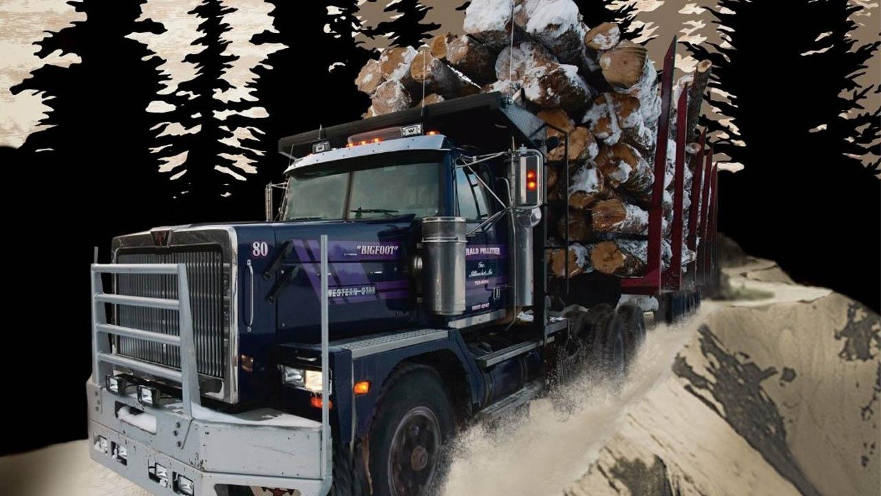 Holzfäller extrem - American Loggers