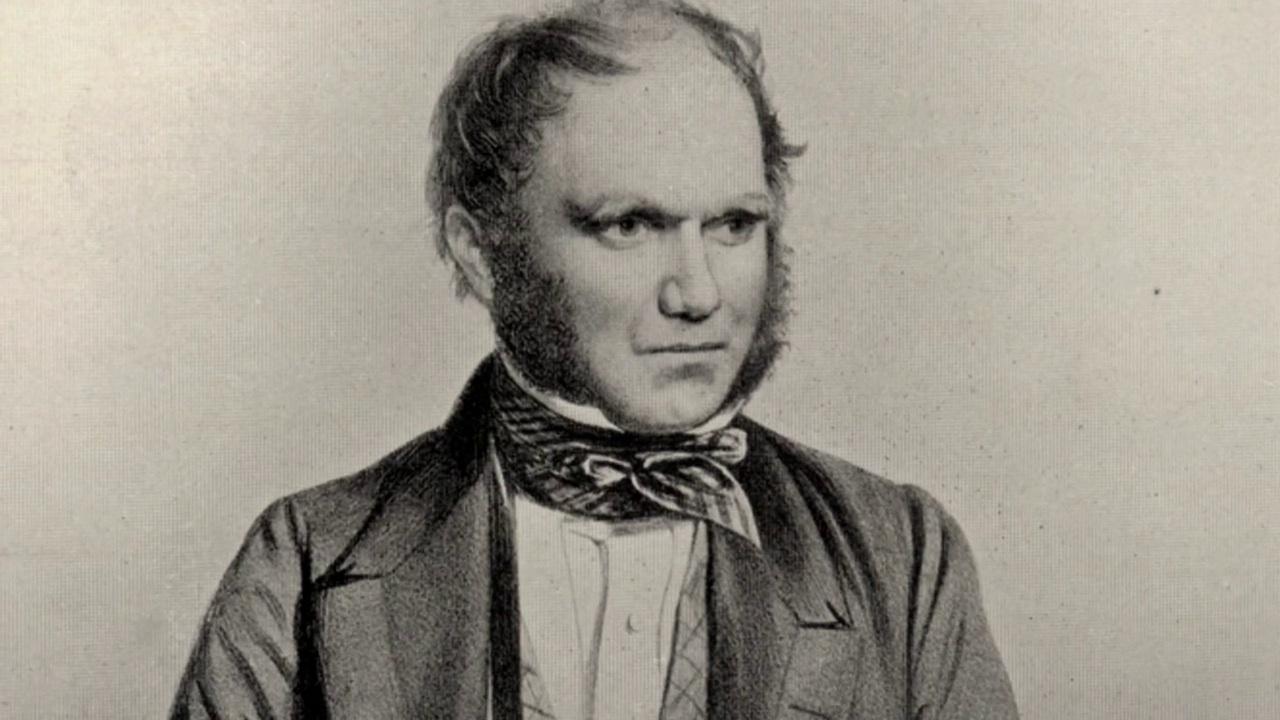 Darwin's Dangerous Idea