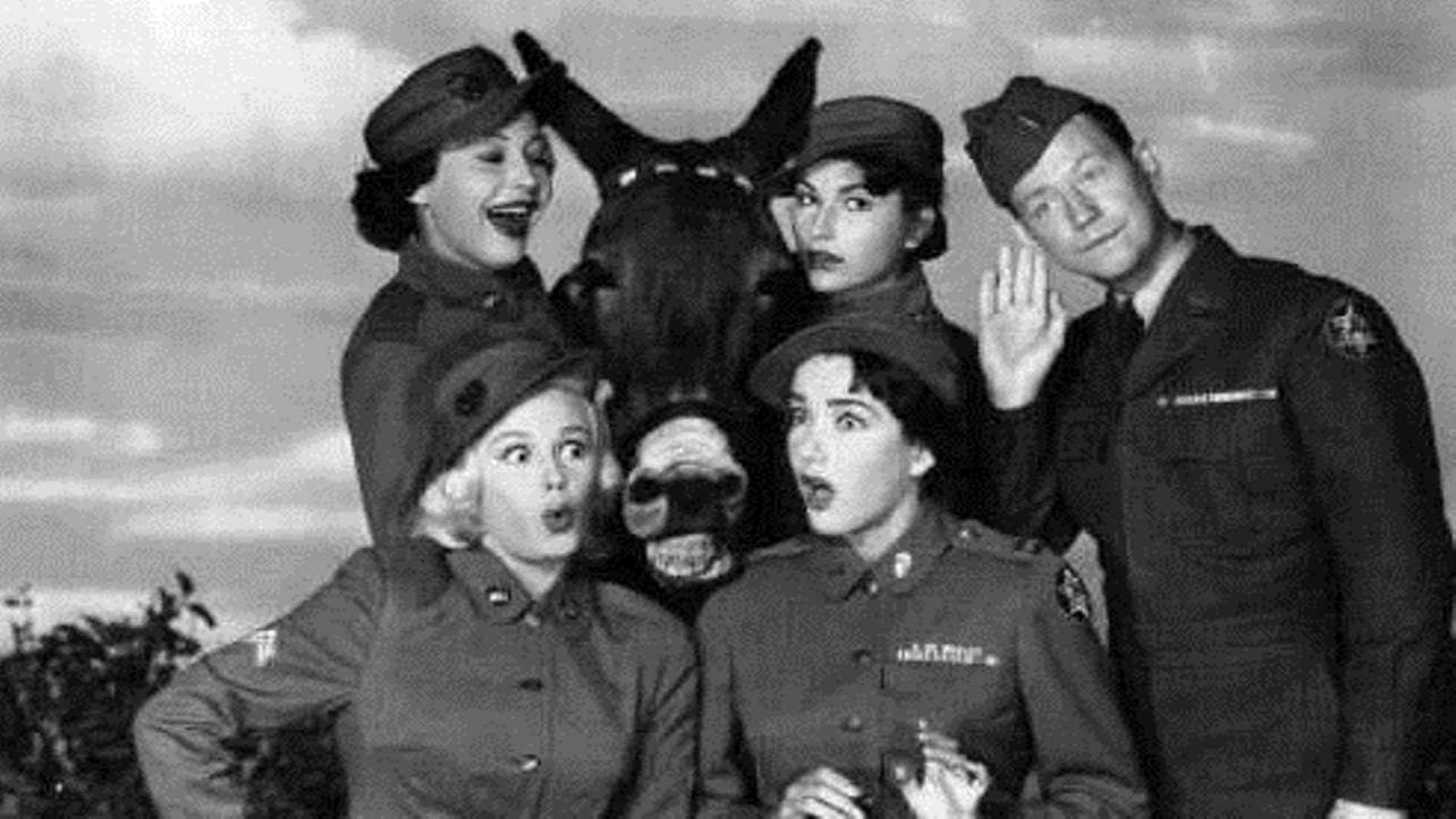 Francis Joins the WACS