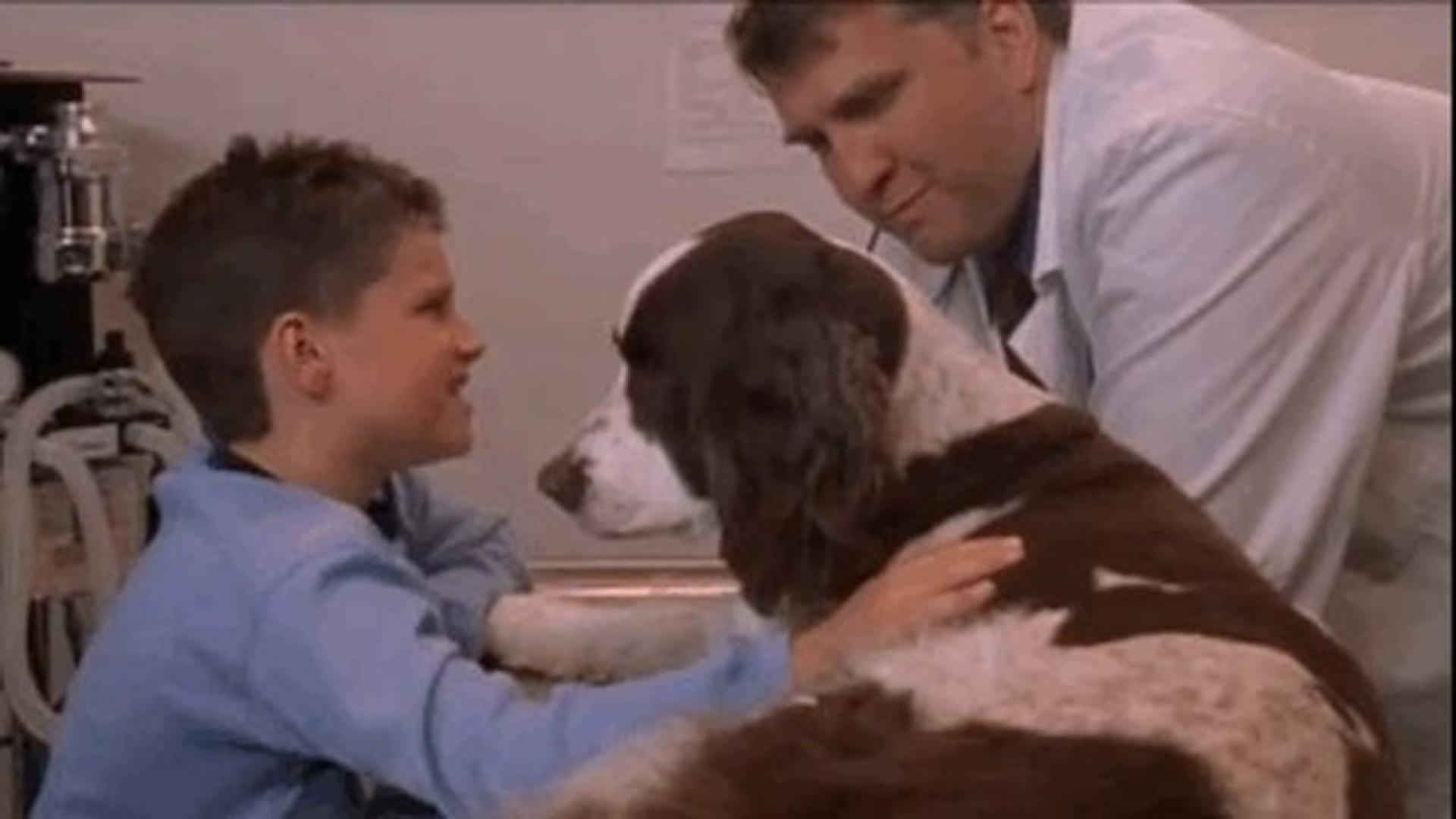 Miracle Dogs