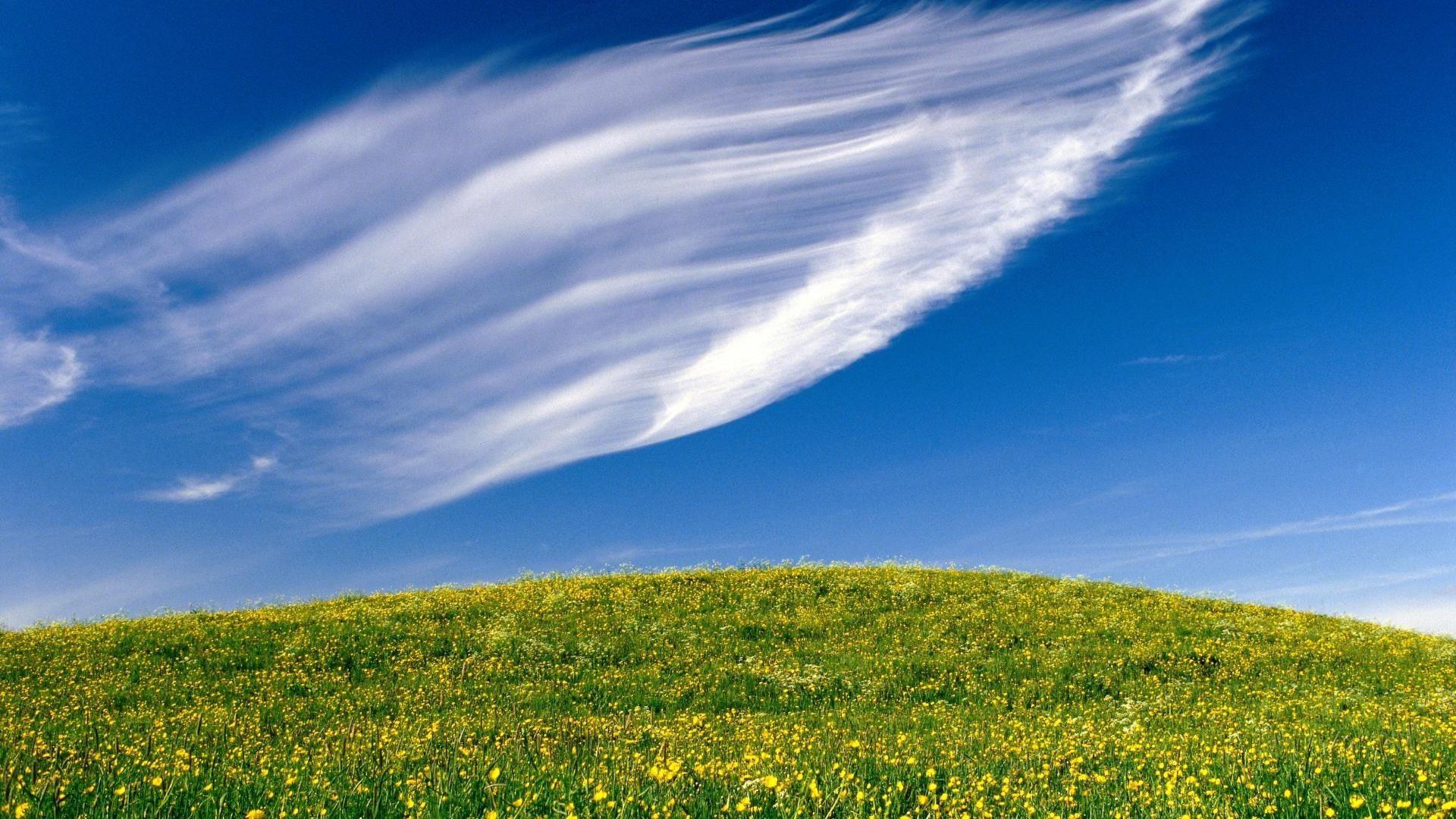 Blue Sky