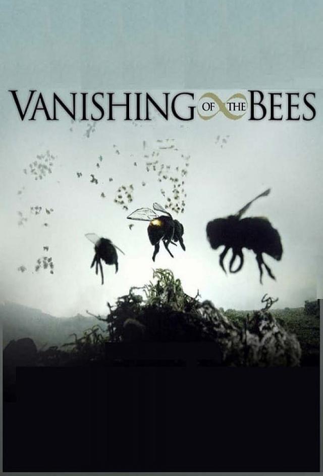 Vanishing of the Bees