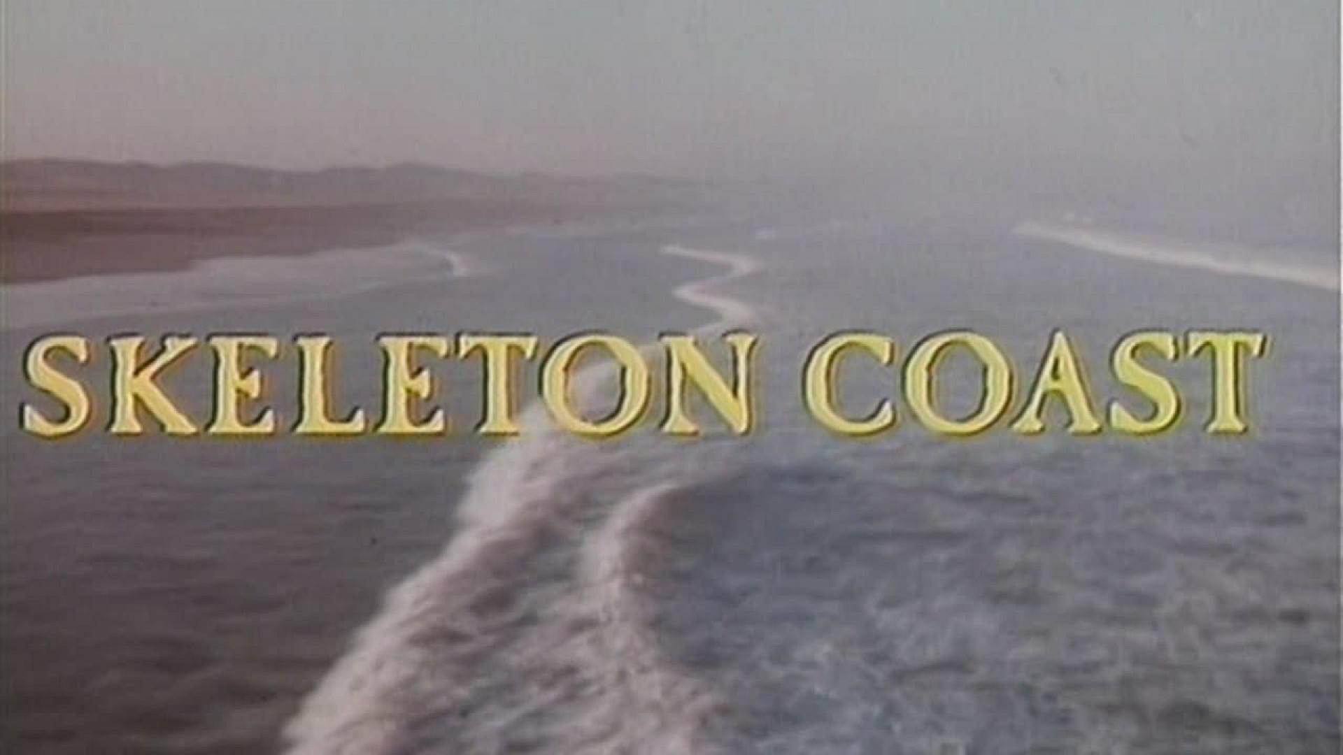 Skeleton Coast
