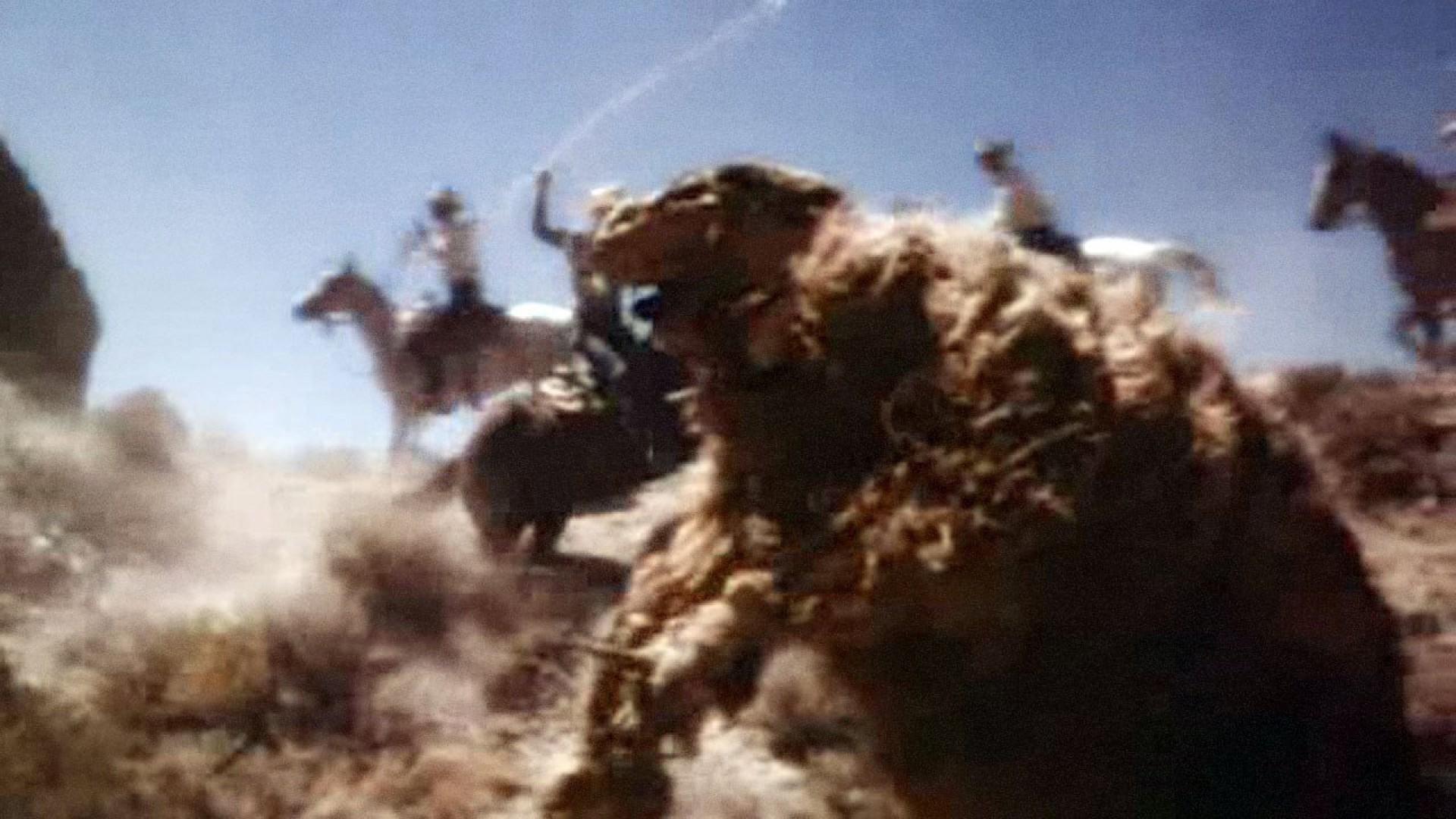 Godmonster of Indian Flats