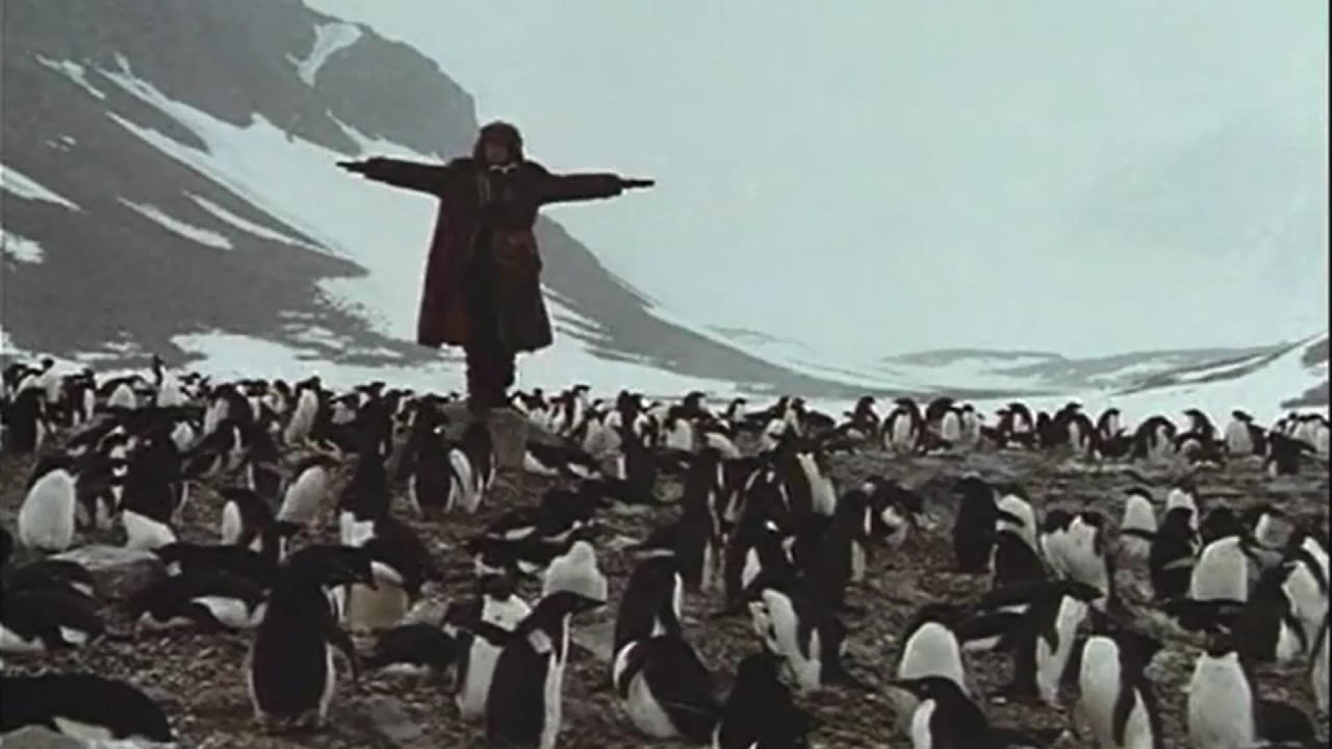 Mr. Forbush and the Penguins