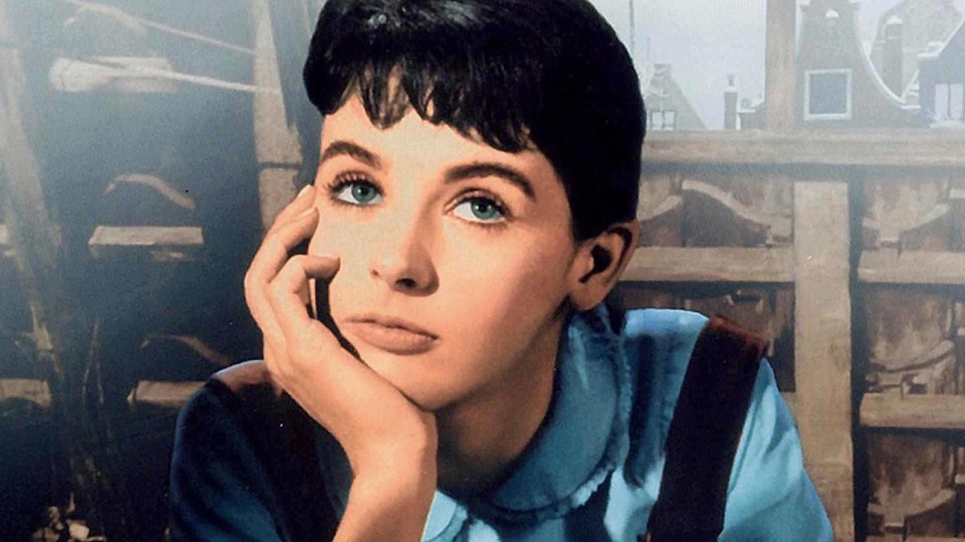 Il diario di Anna Frank