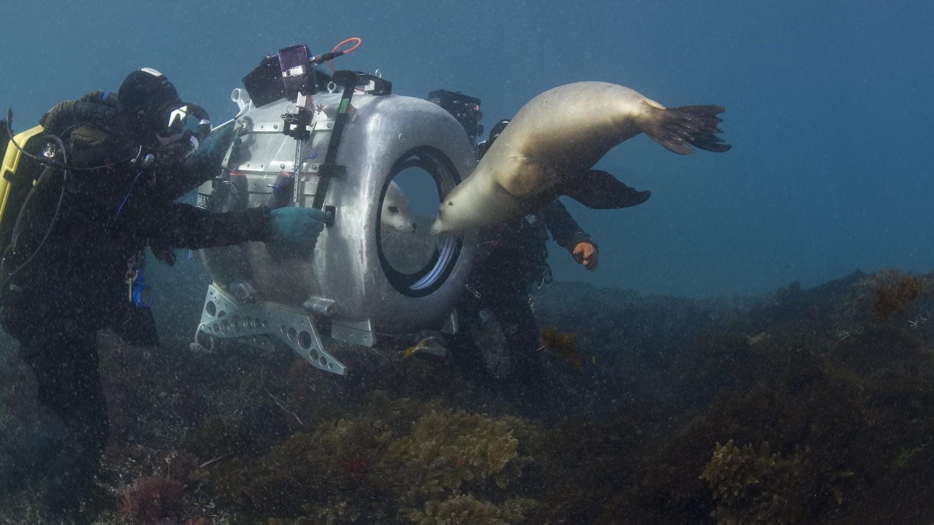Into the Deep