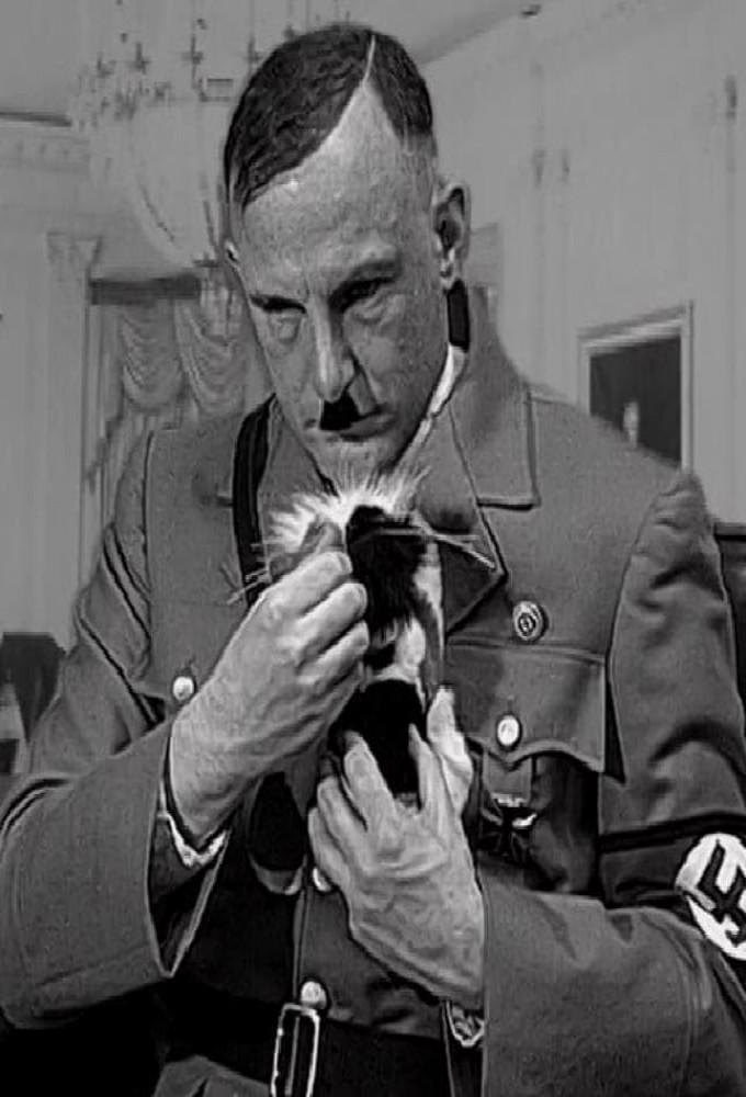 A Kitten For Hitler