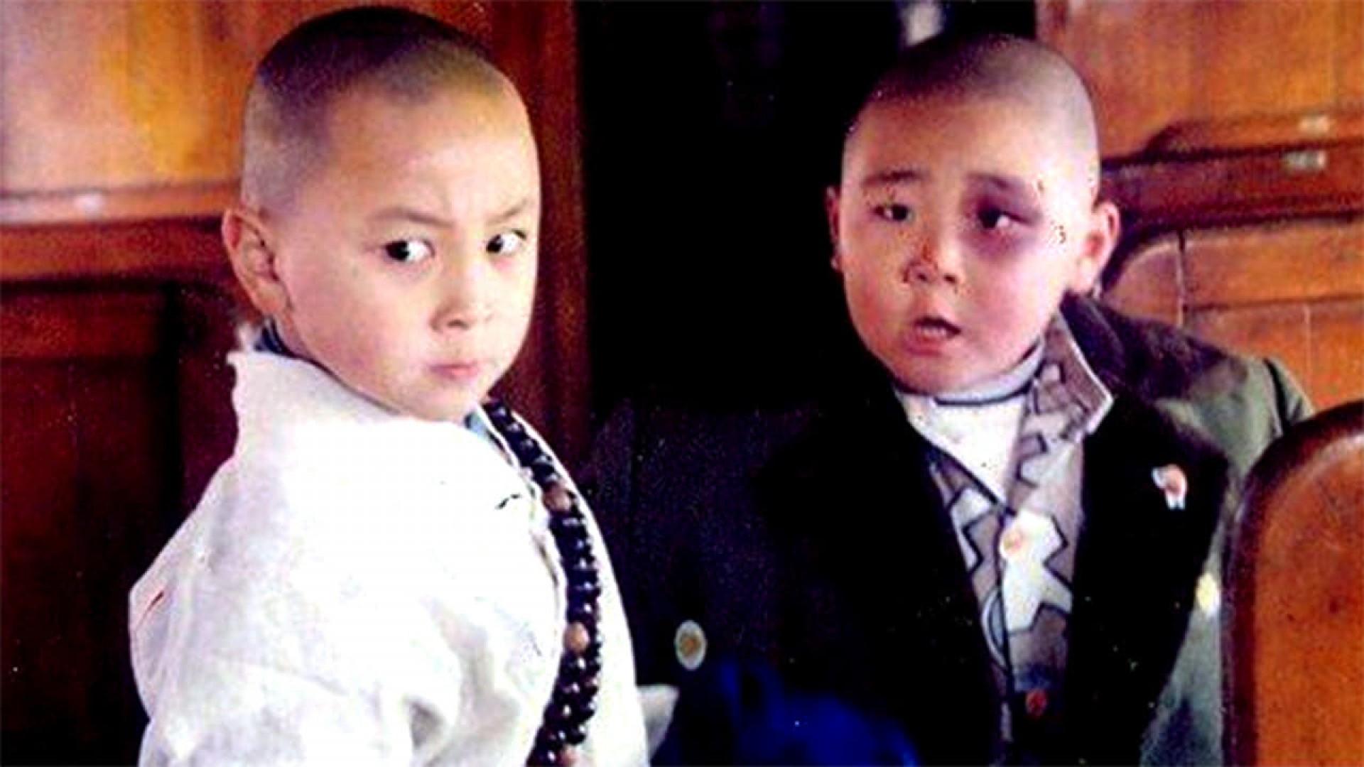 Dragon from Shaolin
