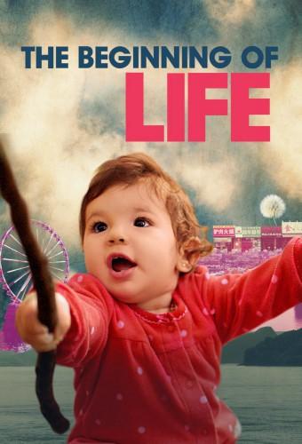 The Beginning of Life