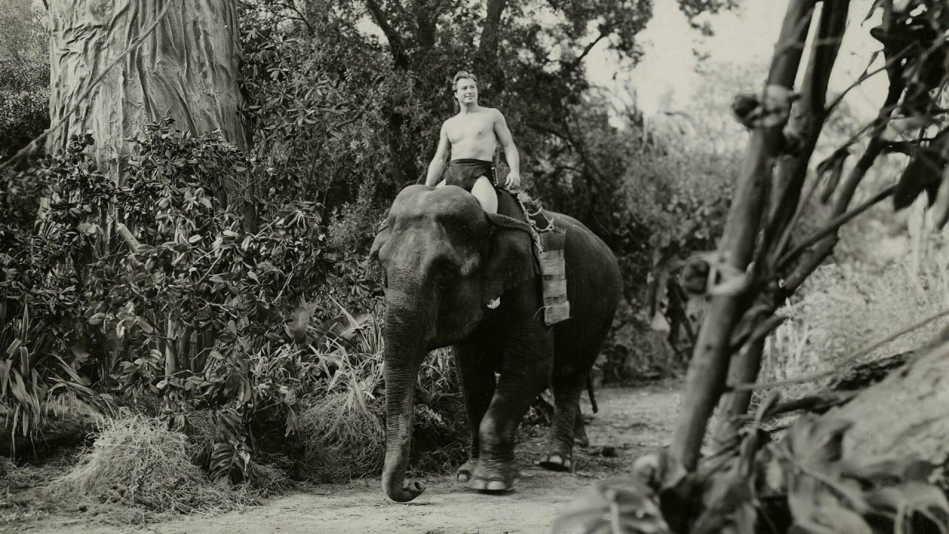 Tarzan and the She-Devil