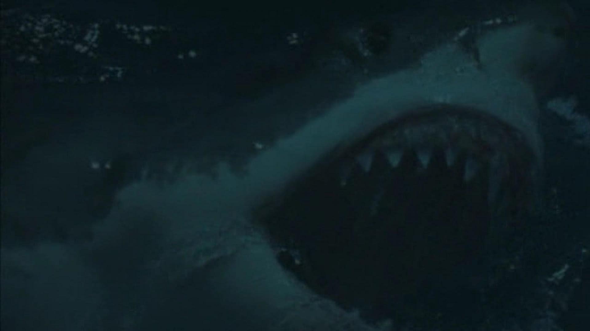 Deep Blood
