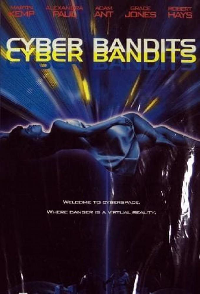 Cyber Bandits