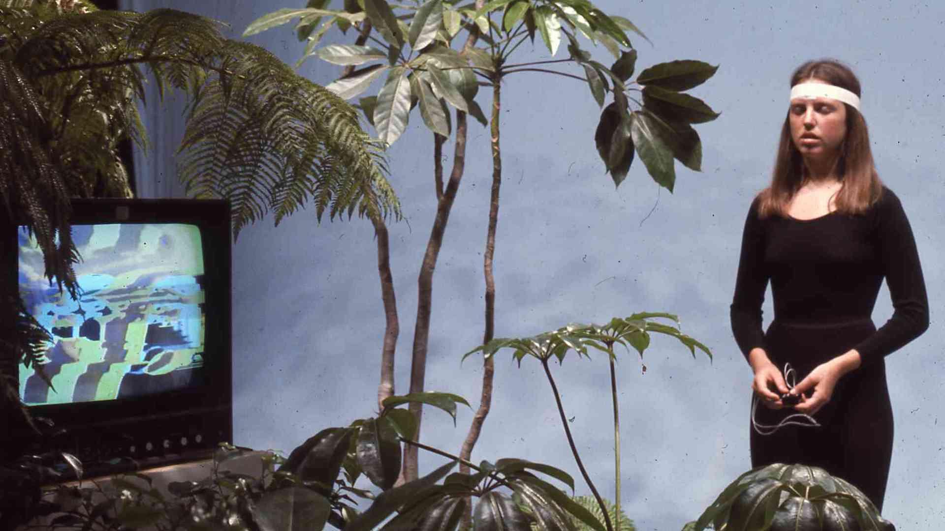 The Secret Life of Plants