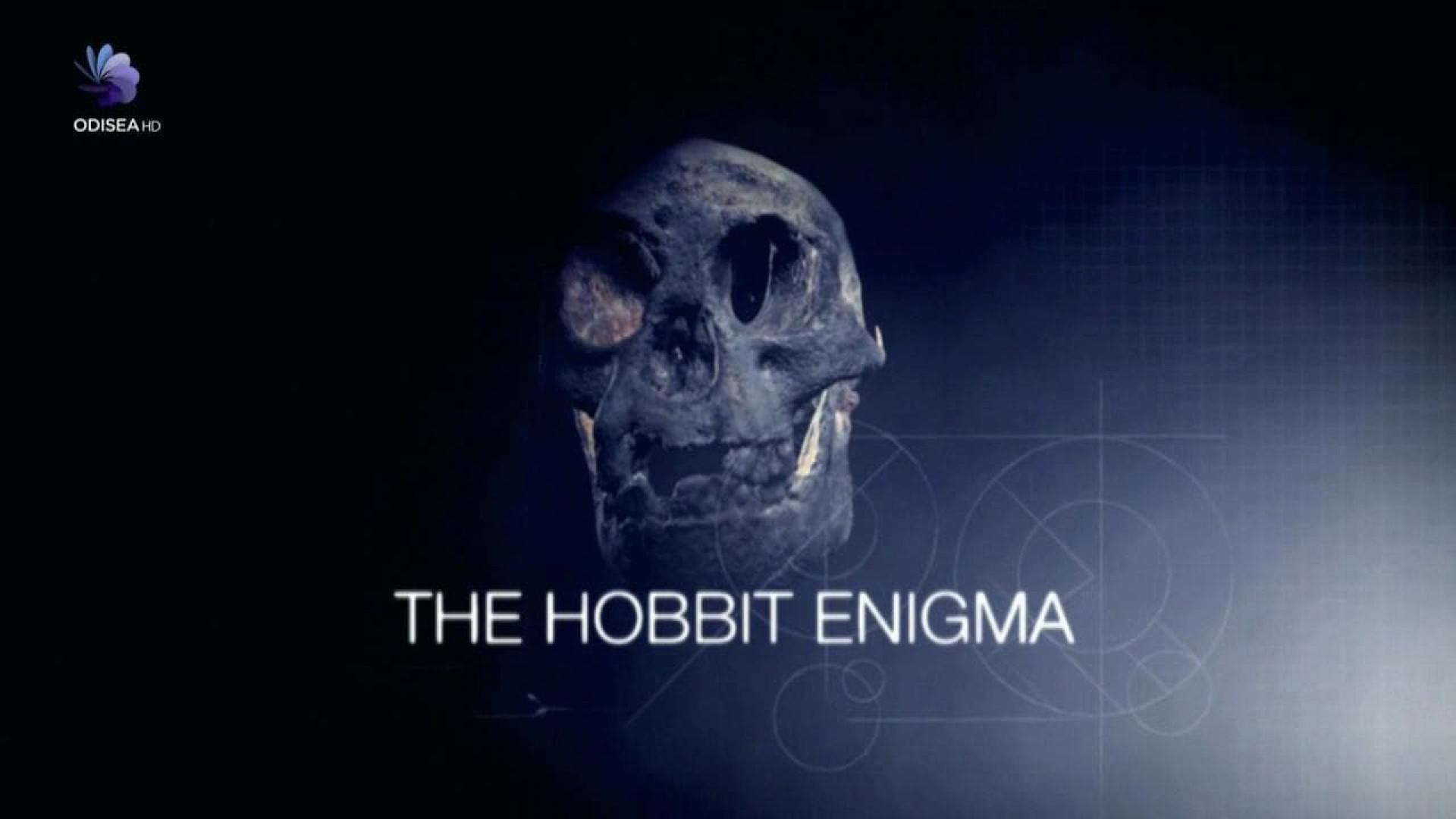 Horizon: The Mystery of the Human Hobbit