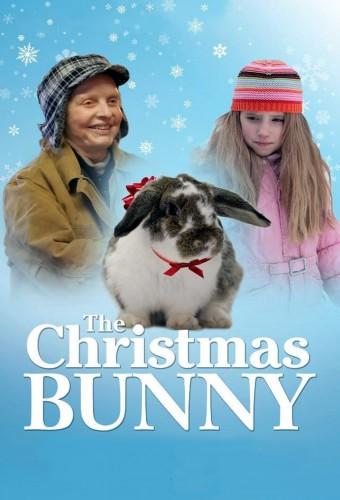 The Christmas Bunny