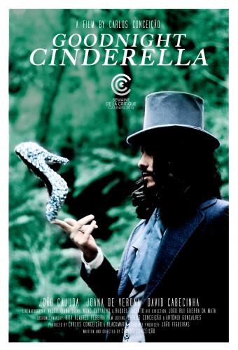 Goodnight, Cinderella