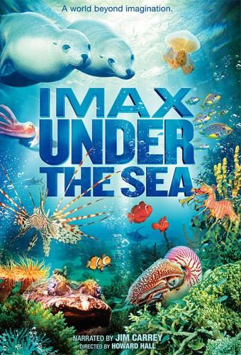 Under the Sea 3D