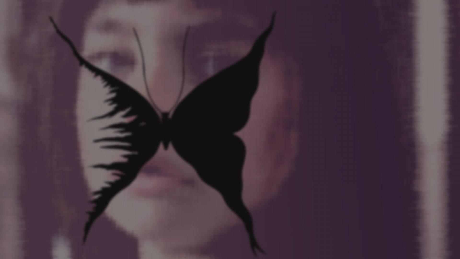Butterfly Wings