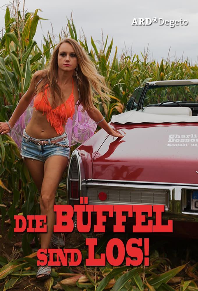 Die Büffel sind los!
