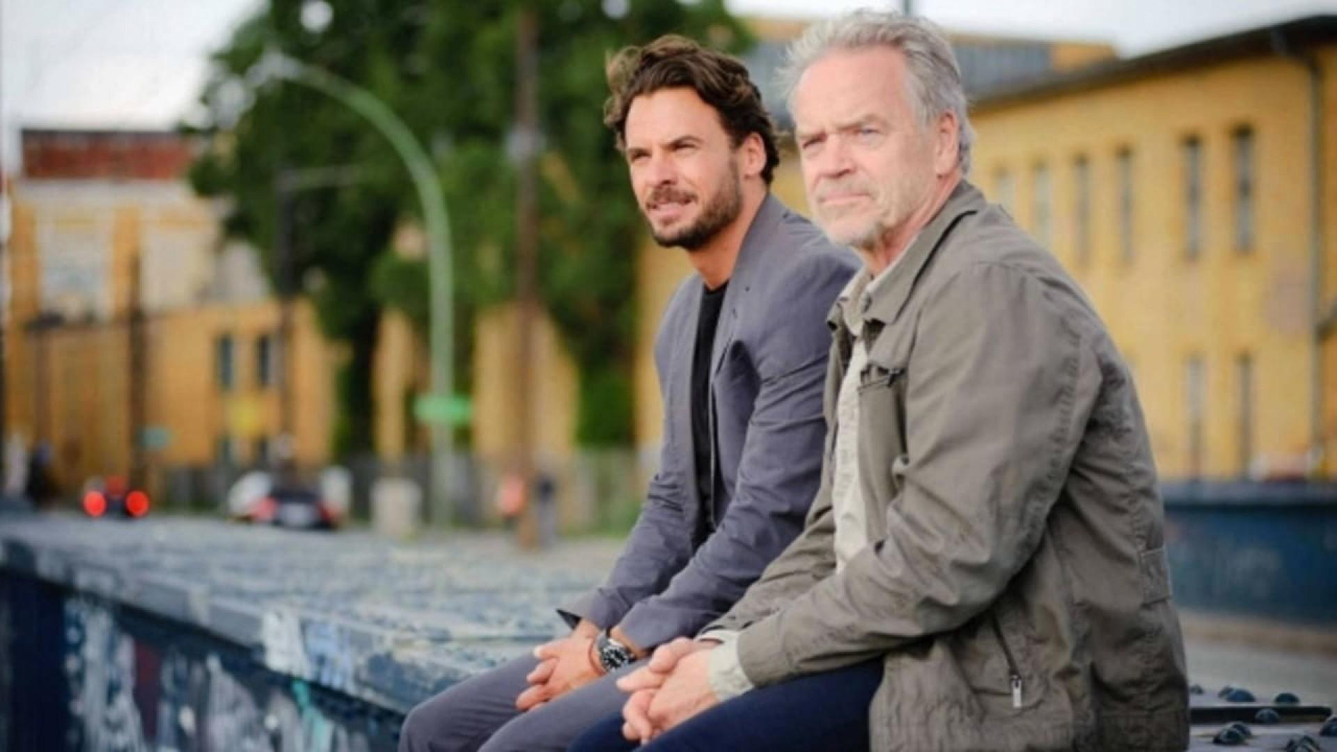 Wolff - Kampf im Revier