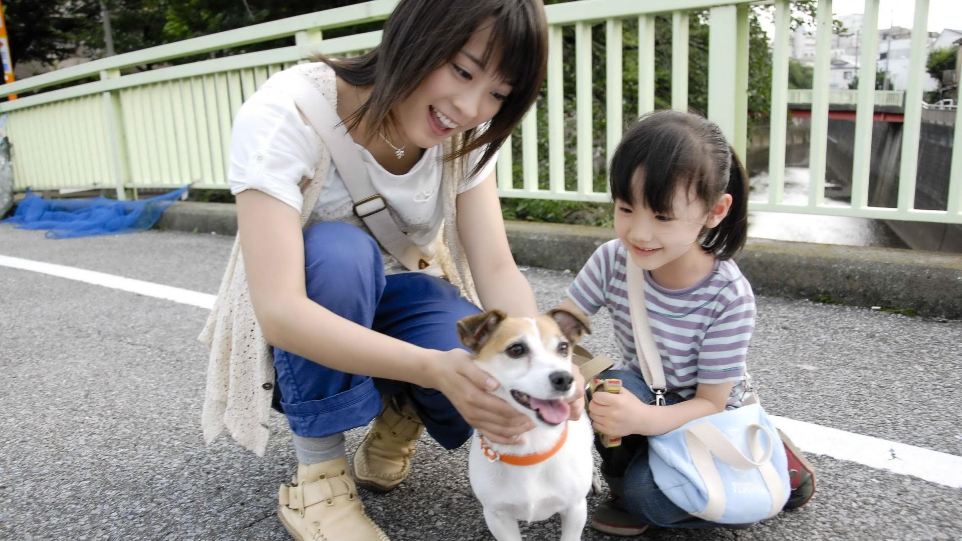 Happy Together: All About My Dog