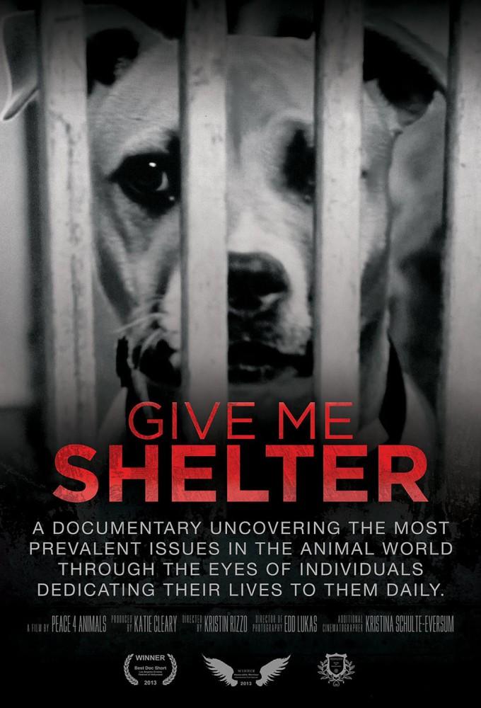 Give Me Shelter