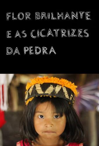 Flor Brilhante e as Cicatrizes da Pedra