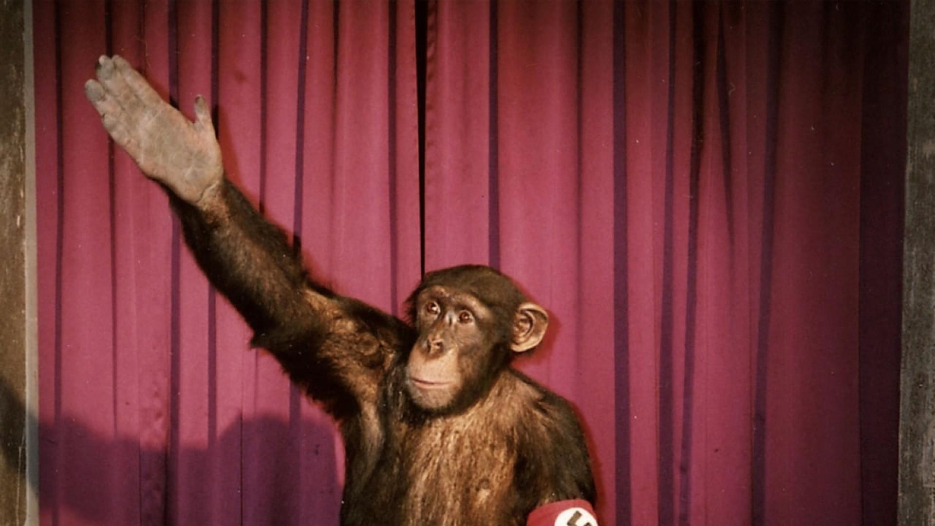 Heil Hitler, das Schwein ist tot! - Humor unterm Hakenkreuz