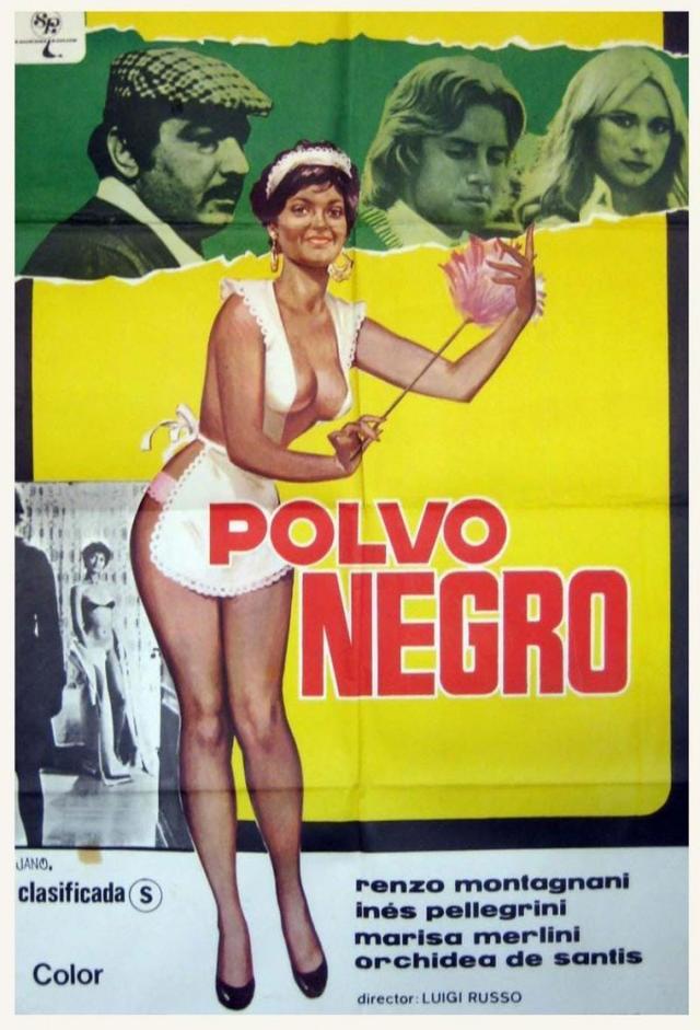 Una bella governante di colore