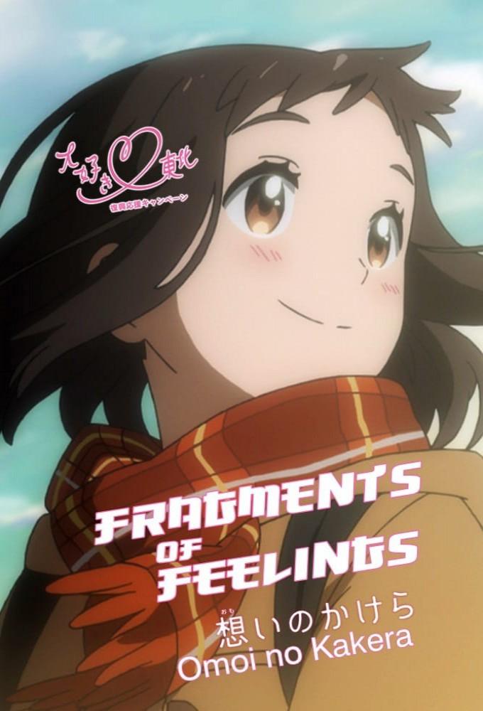 Fragments of Feelings