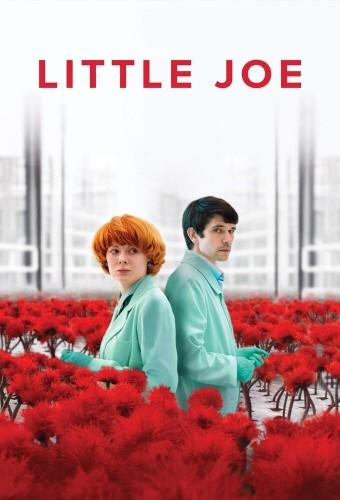 Little Joe