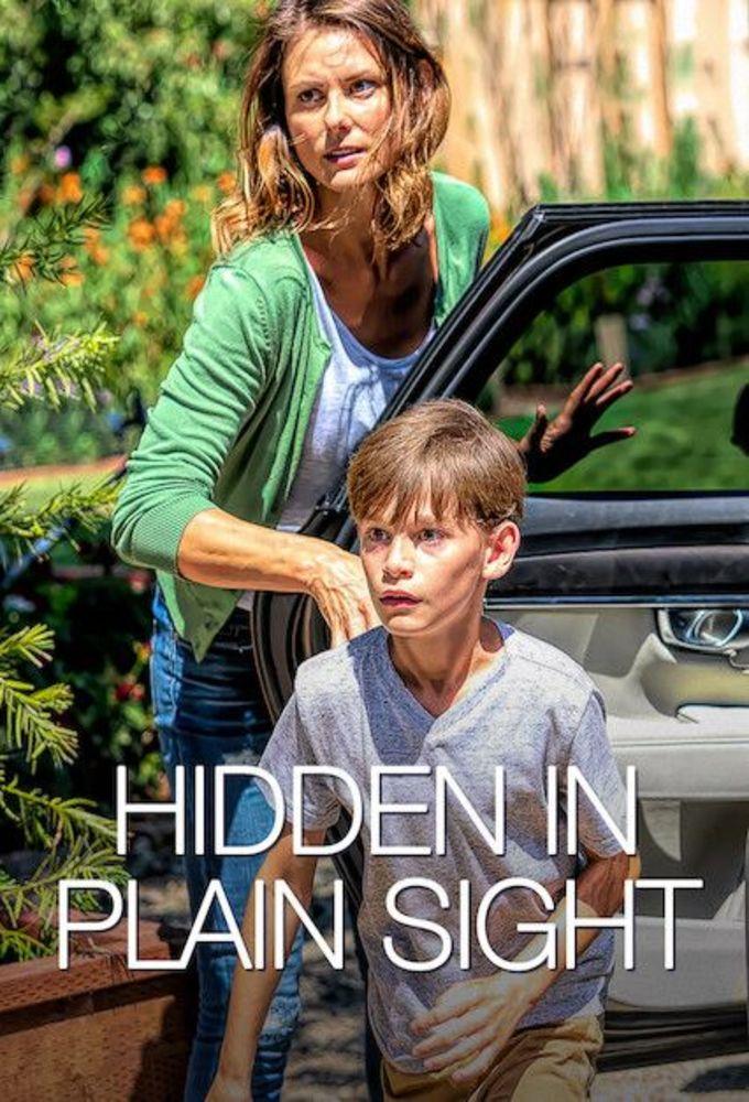 Hidden In Plain Sight