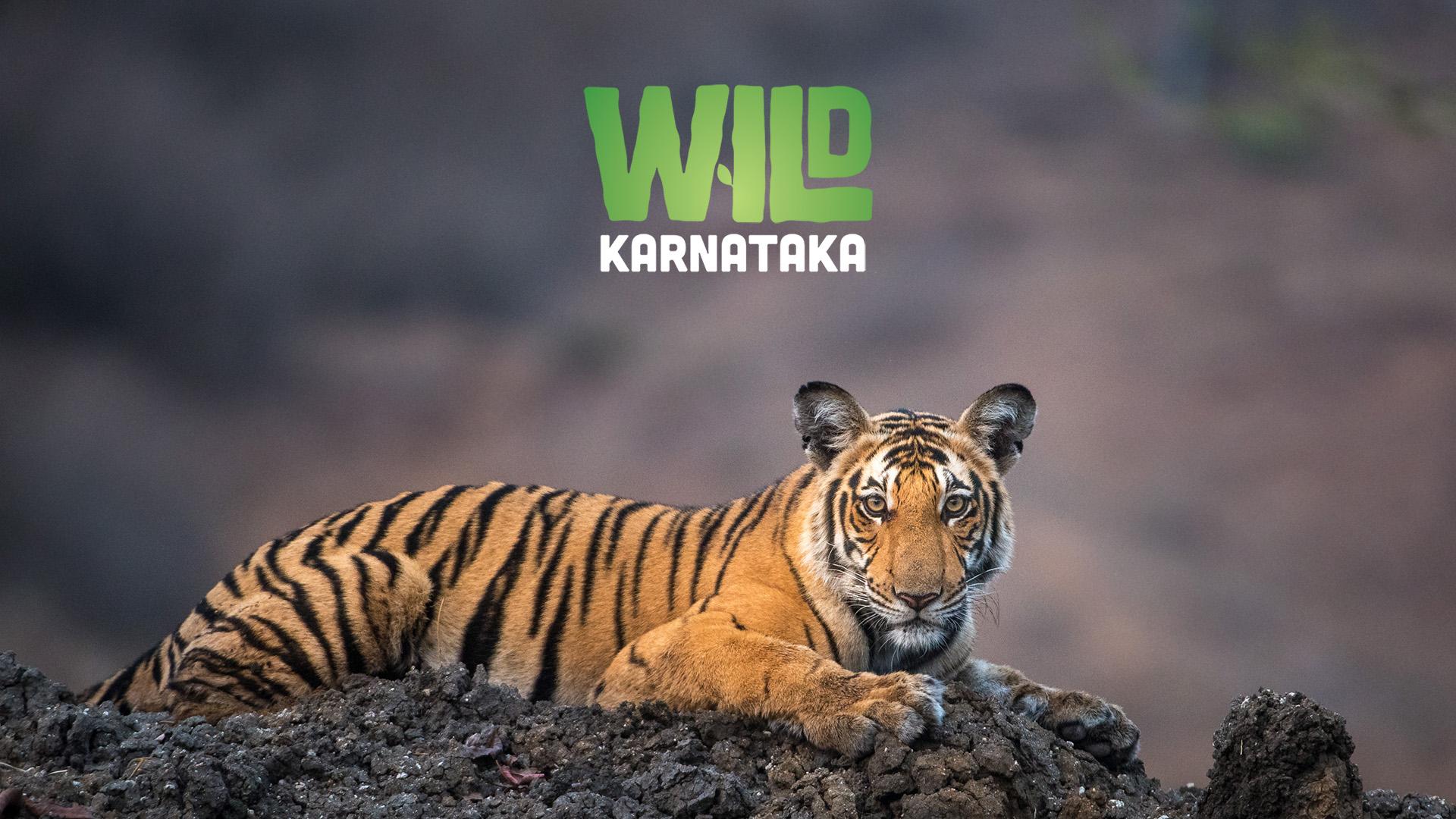 Wild Karnataka