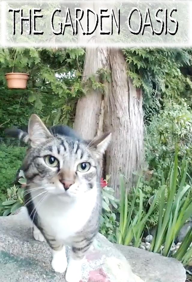 The Garden Oasis