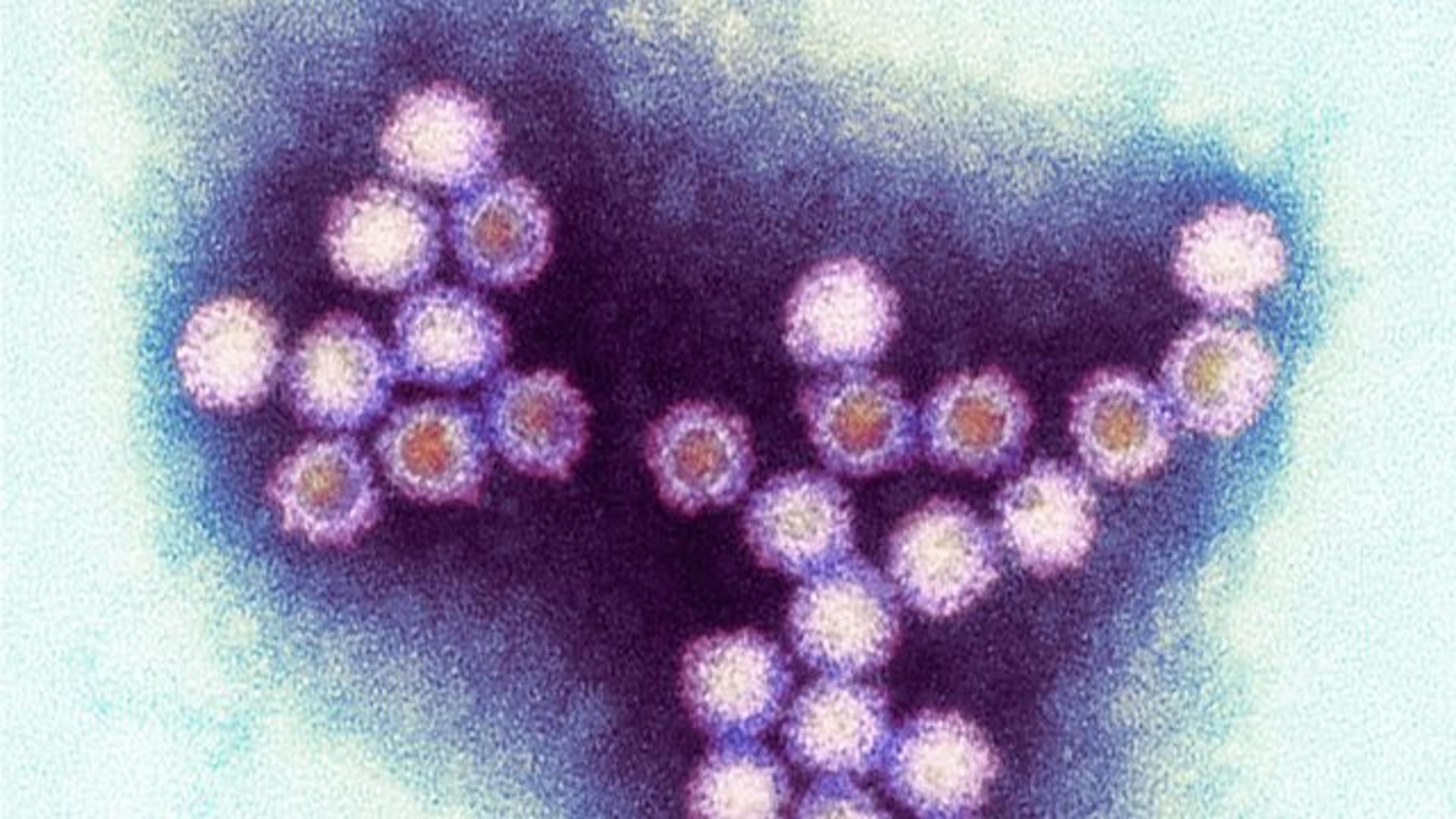 Winter Viruses and How To Beat Them