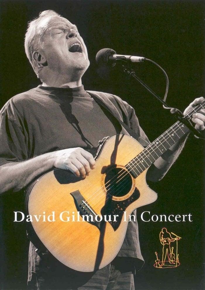 David Gilmour in Concert