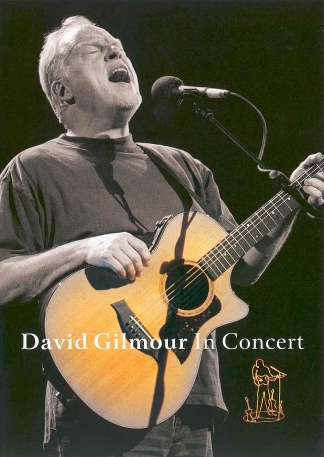David Gilmour in Concert
