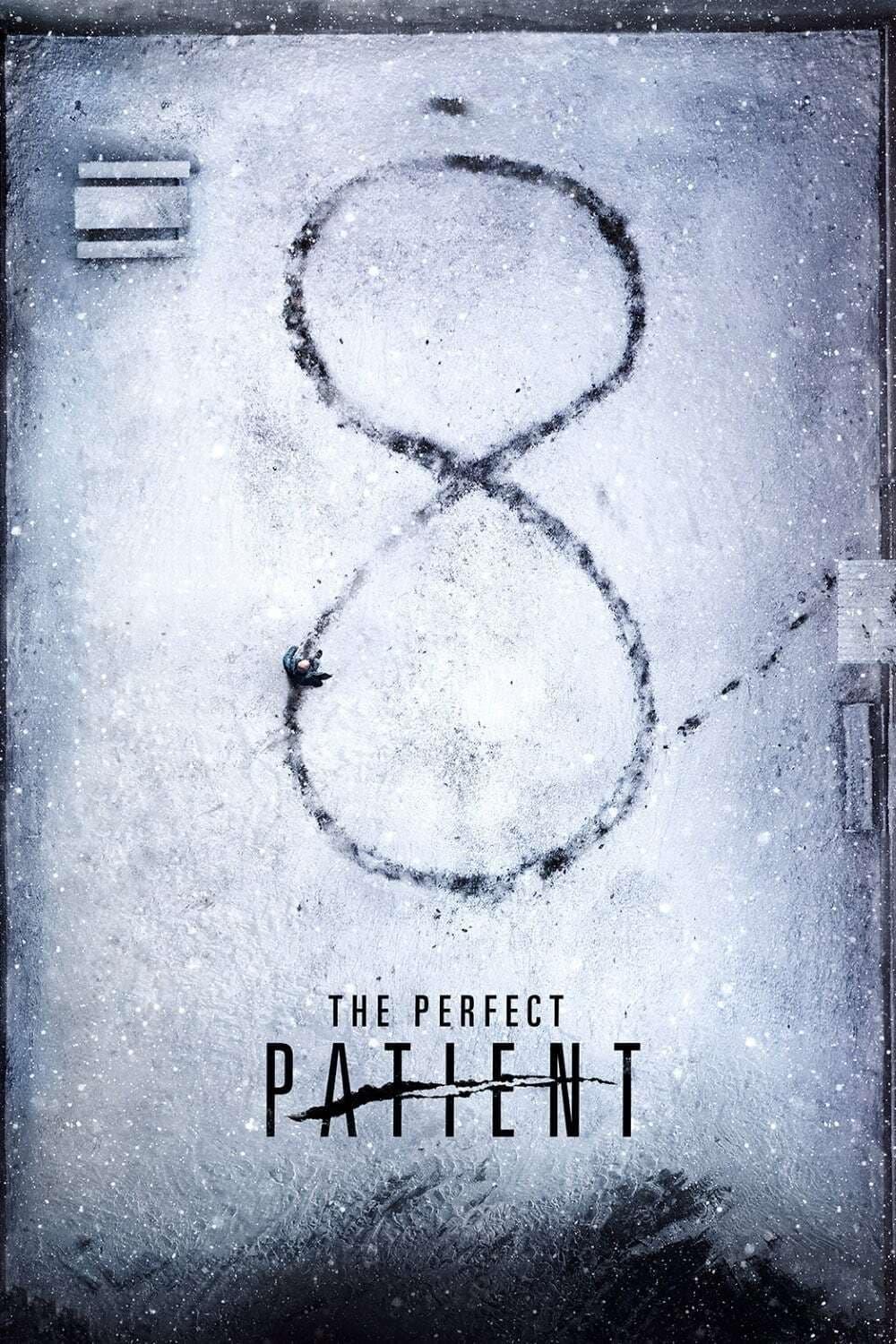 The Perfect Patient