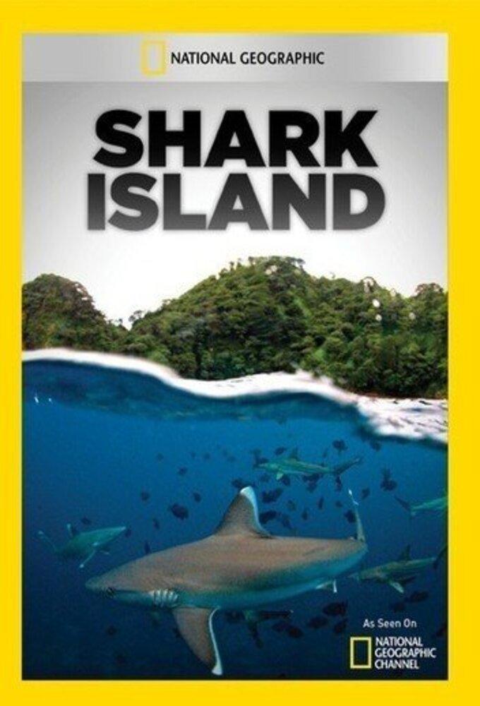 Shark Island