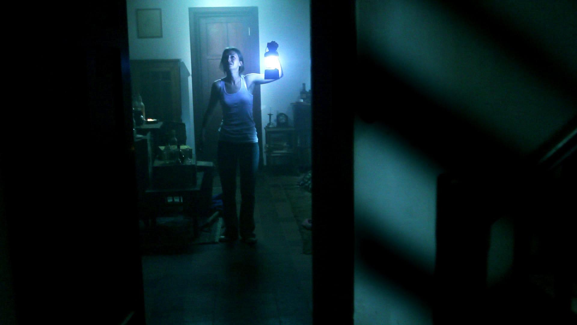 The Silent House