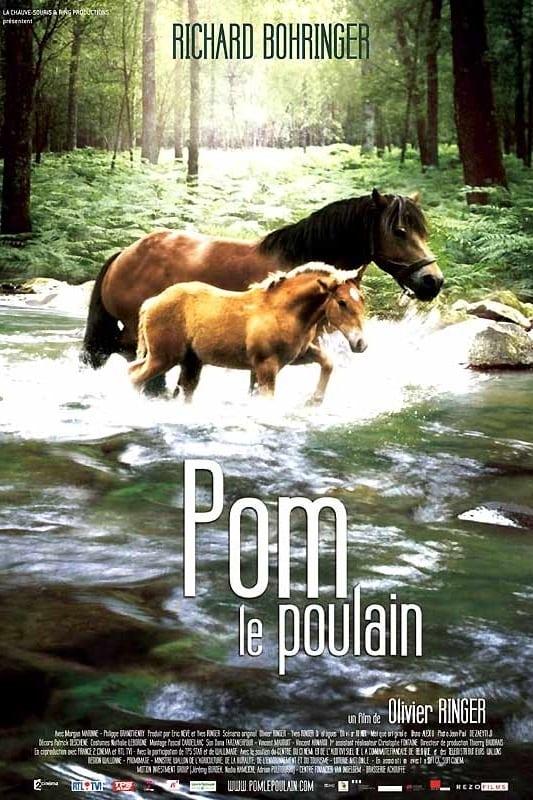 Pom le poulain