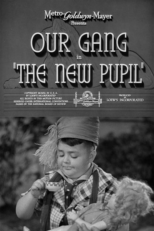 The New Pupil
