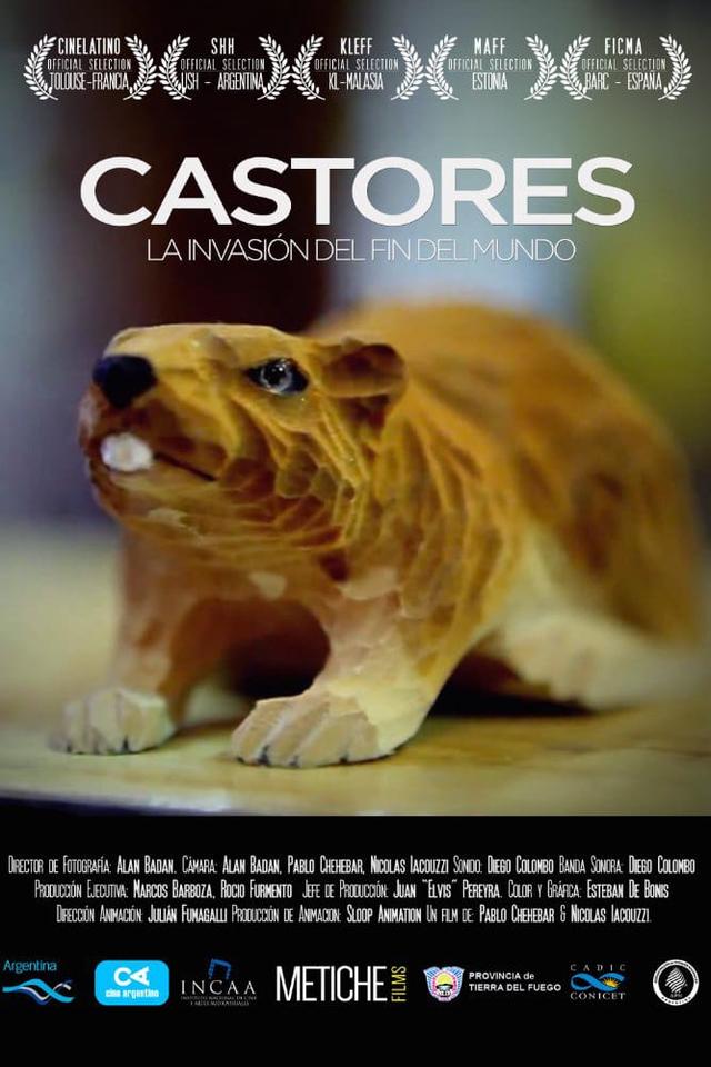 Beavers. Patagonia Invaders