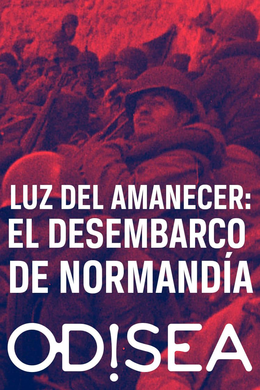 The Light of Dawn: The Normandy Landings