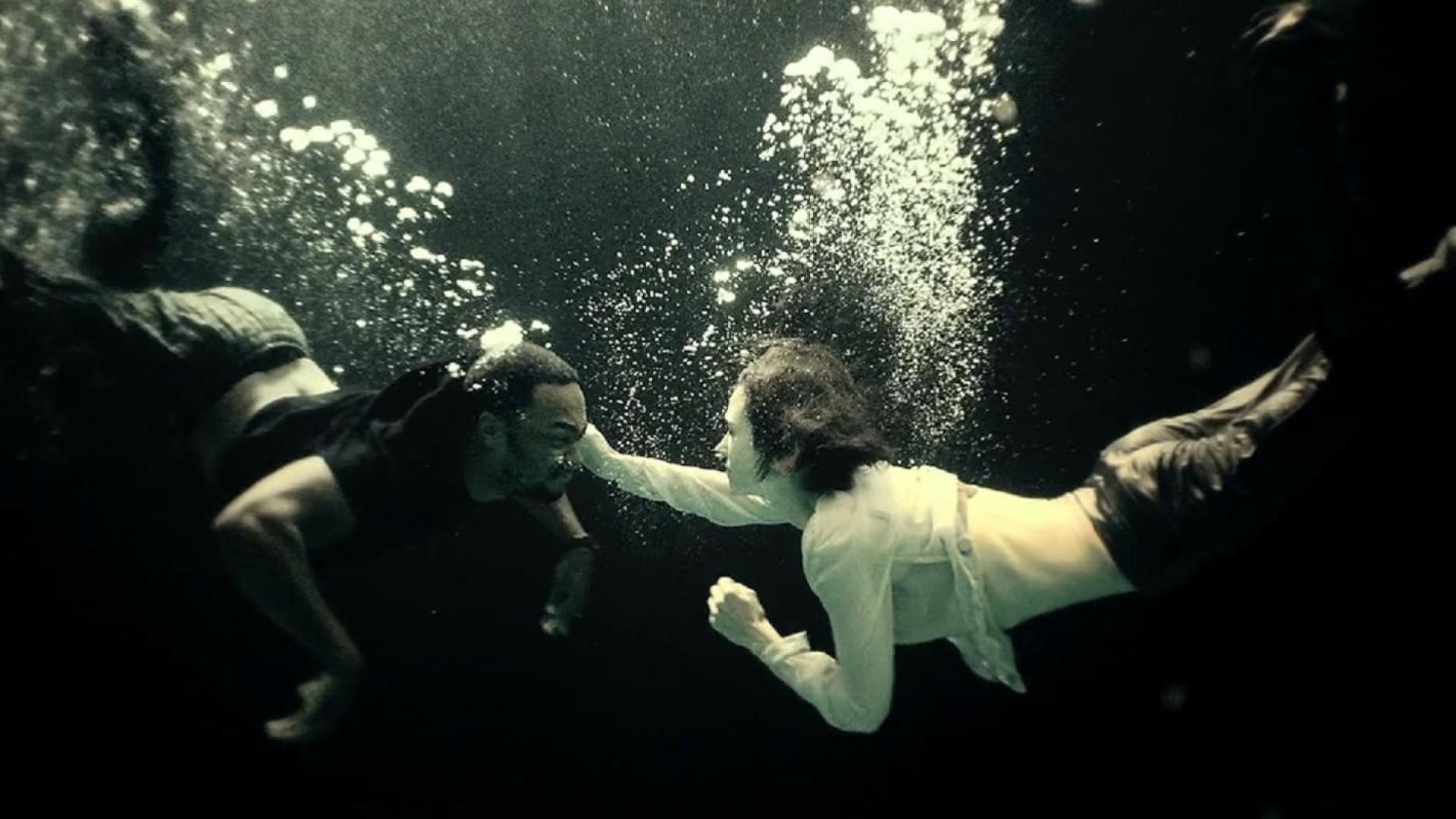 Shelter - 2014