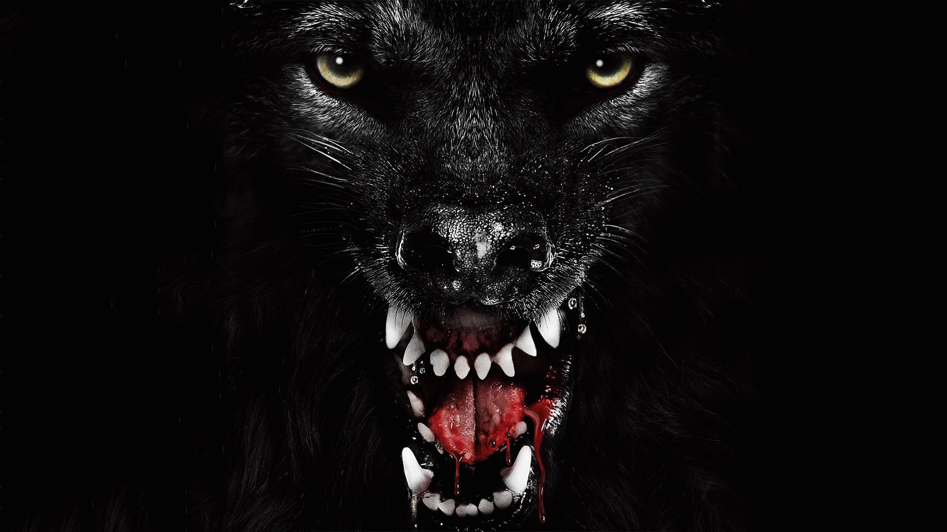 The Pack