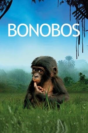 Beny: Back to the Wild